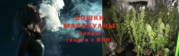 спайс Александровское