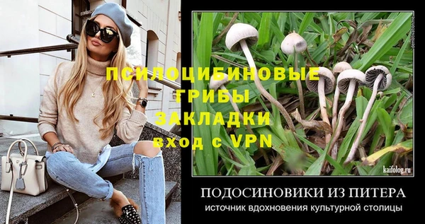 мескалин Кулебаки