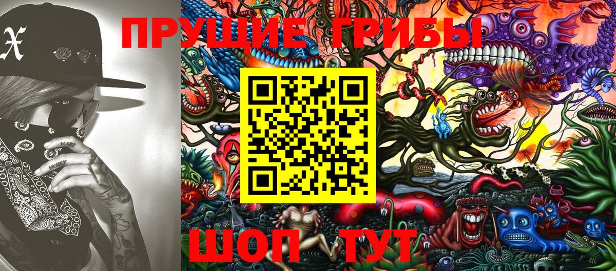 магазин  наркотиков  Владикавказ  Галлюциногенные грибы Magic Shrooms 