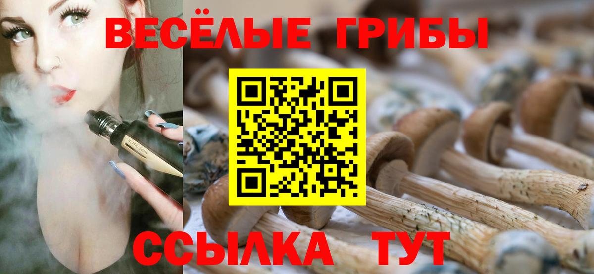 Псилоцибиновые грибы MAGIC MUSHROOMS Владикавказ